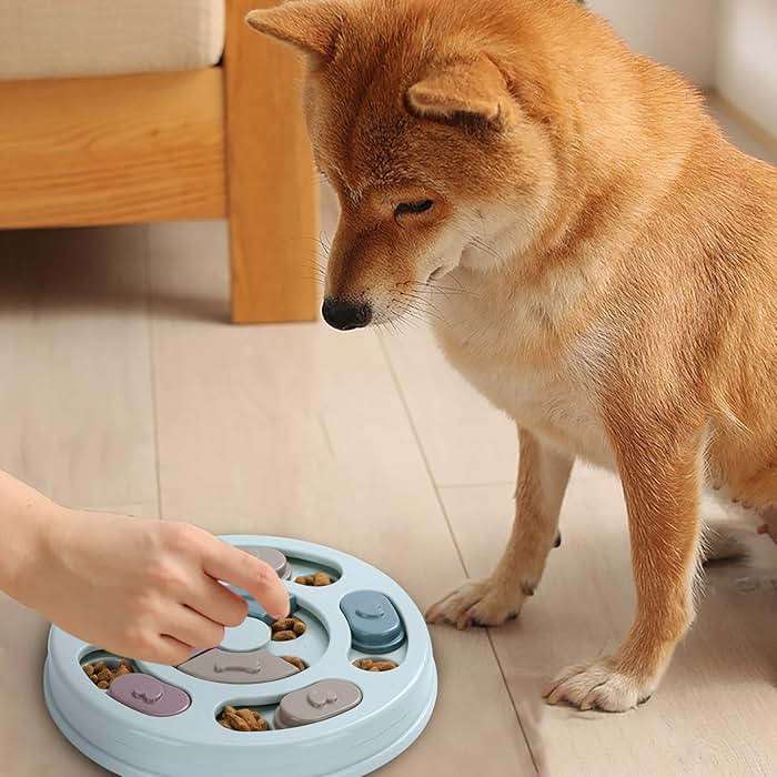 DR CATCH Dog Puzzle,Dogs Food Toys for IQ Training & Mental Enrichment,Dog Treat Puzzle(Blue) - Image 5