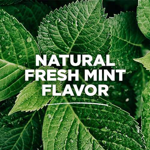 Tom's Of Maine Whole Care Natural Fluoride Mouthwash, Fresh Mint, 16 Oz (Pack of 3) (Packaging May Vary) - Image 5
