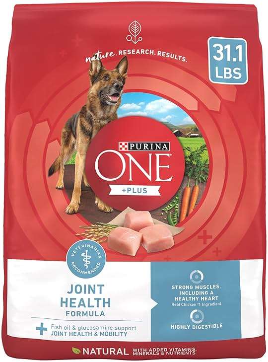 Purina ONE Plus Joint Health Formula Natural With Added Vitamins, Minerals and Nutrients Dry Dog Food - 31.1 lb. Bag - Image 1