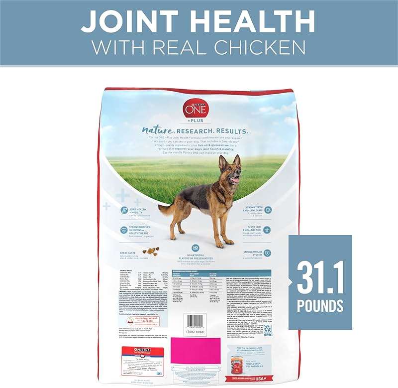 Purina ONE Plus Joint Health Formula Natural With Added Vitamins, Minerals and Nutrients Dry Dog Food - 31.1 lb. Bag - Image 6