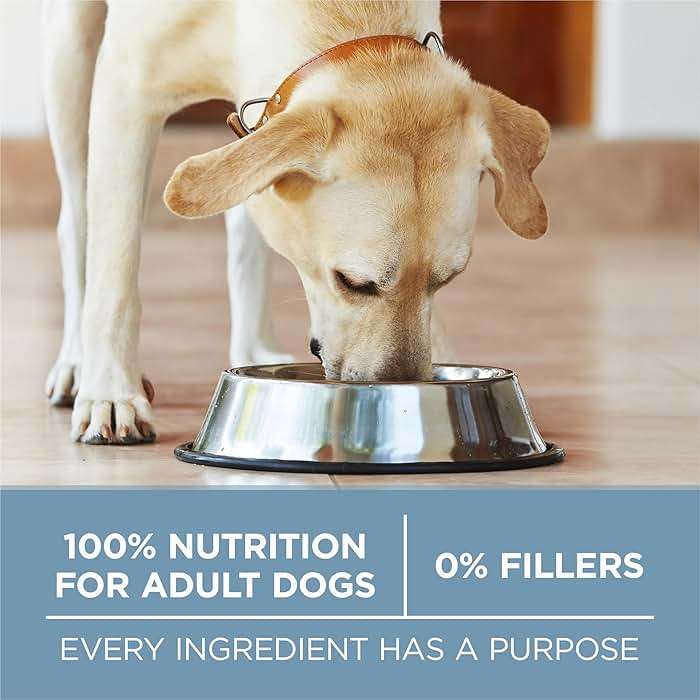 Purina ONE Plus Joint Health Formula Natural With Added Vitamins, Minerals and Nutrients Dry Dog Food - 31.1 lb. Bag - Image 7