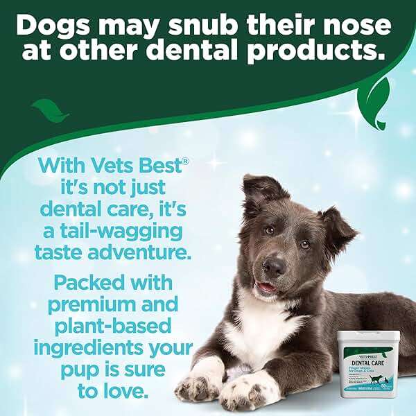 Vet's Best Finger Dental Wipes for Dogs and Cats – Oral Care Wipes for Teeth Cleaning, Fresh Breath, and Tartar Control – Gentle Finger Pads for Pet Dental Hygiene and Plaque Removal – 50 Count - Image 7
