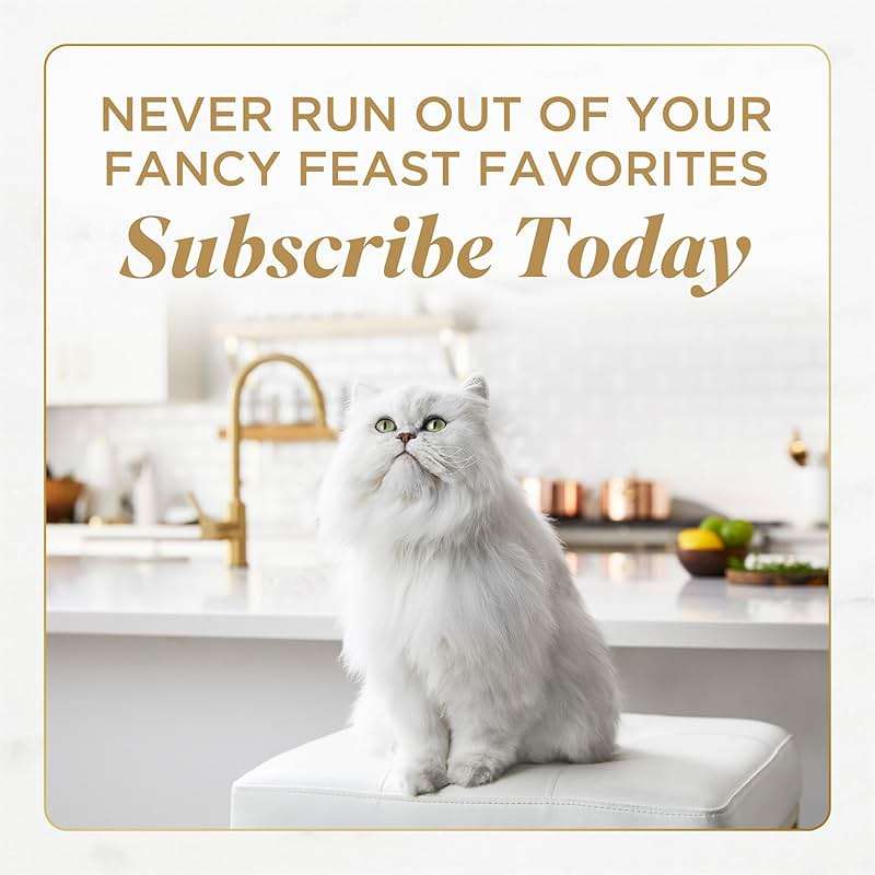 Purina Fancy Feast Gourmet Wet Cat Food Variety Pack, Petites Gravy Collection, break-apart tubs, 24 servings - (Pack of 12) 2.8 oz. Tubs - Image 11