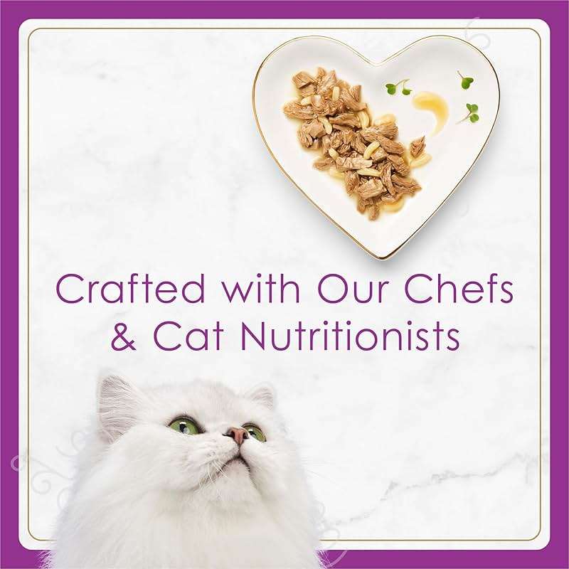 Purina Fancy Feast Gourmet Wet Cat Food Variety Pack, Petites Gravy Collection, break-apart tubs, 24 servings - (Pack of 12) 2.8 oz. Tubs - Image 8