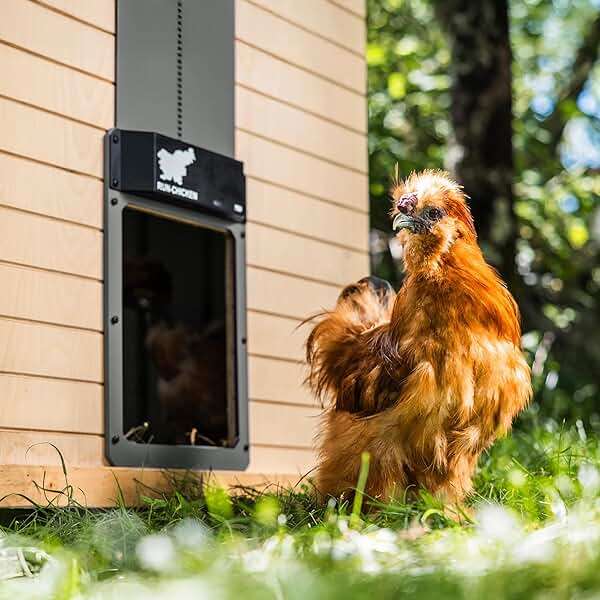 RUN-CHICKEN Door T50 – Automatic Chicken Coop Door Opener, Battery Powered & Weatherproof Aluminum, Smart App & Timer Control, Predator Proof, Easy Install, Reliable All-Season Performance (Gray) - Image 3