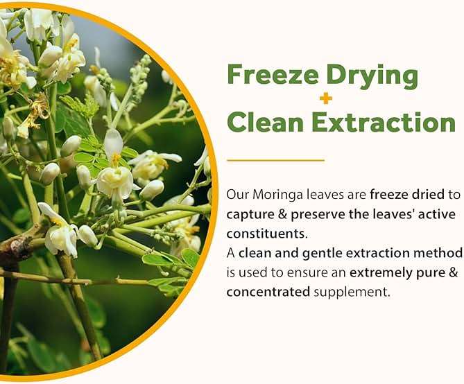 Doctor's Recipes Moringa, Complete Green Superfood, Natural Antioxidant Support, Non-GMO, 90 Vegan Caps, No Caffeine Soy Gluten - Image 8
