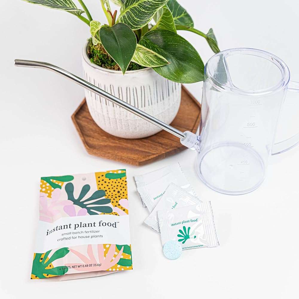 Houseplant Fertilizer & Indoor Plant Food | Self-Dissolving Tablets | Make Feeding Your Plants a Breeze | Instant Plant Food (4 Tablets) - Image 5