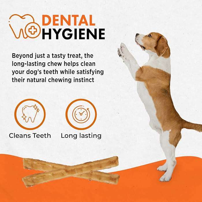 Canine Naturals Chicken Recipe Chew - Rawhide Free Dog Treats - Made From USA Raised Chicken - All-Natural and Easily Digestible - 40 Pack of 5 Inch Stick Chews - Image 5