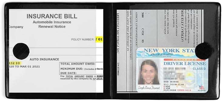 UYYE Car Registration and Insurance Card Holder, Vehicle Glove Box Car Organizer, Interior Car Accessories for Documents, Cards, License - 2 Pack - Image 4