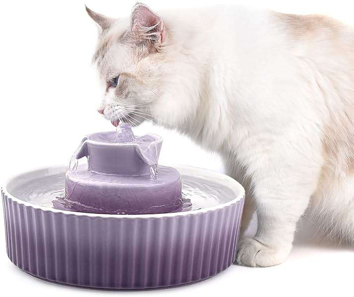Cat Water Fountain: Cepheus Pet Drinking Fountain-2.1L/71oz Cat Fountain-Automatic Water Fountain for Cats and Dogs with with Ultra-Quiet Pump(Purple) - Image 1