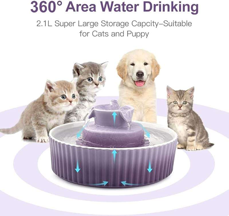 Cat Water Fountain: Cepheus Pet Drinking Fountain-2.1L/71oz Cat Fountain-Automatic Water Fountain for Cats and Dogs with with Ultra-Quiet Pump(Purple) - Image 4