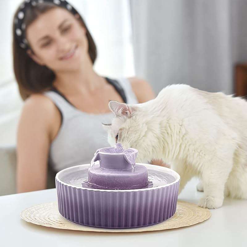 Cat Water Fountain: Cepheus Pet Drinking Fountain-2.1L/71oz Cat Fountain-Automatic Water Fountain for Cats and Dogs with with Ultra-Quiet Pump(Purple) - Image 6