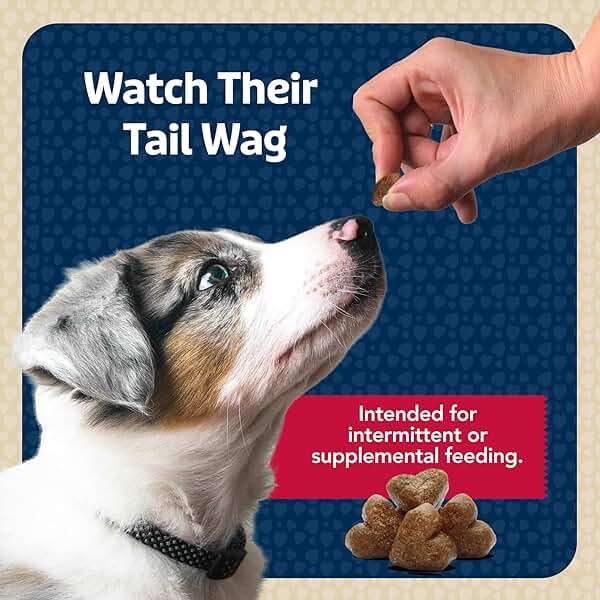 Blue Buffalo Bits Soft Dog Treats for Training, Made with Natural Ingredients & Enhanced with DHA, Beef Recipe, 19-oz Bag - Image 8