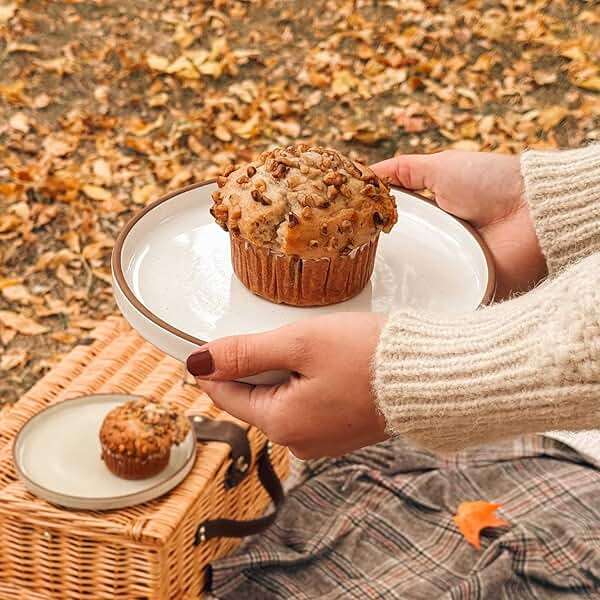 MORA Ceramic Flat Plates Set of 6-8 in - The Dessert, Salad, Appetizer, Small Lunch, etc Plate. Microwave, Oven, and Dishwasher Safe, Scratch Resistant. Kitchen Porcelain Dish - Vanilla White - Image 2