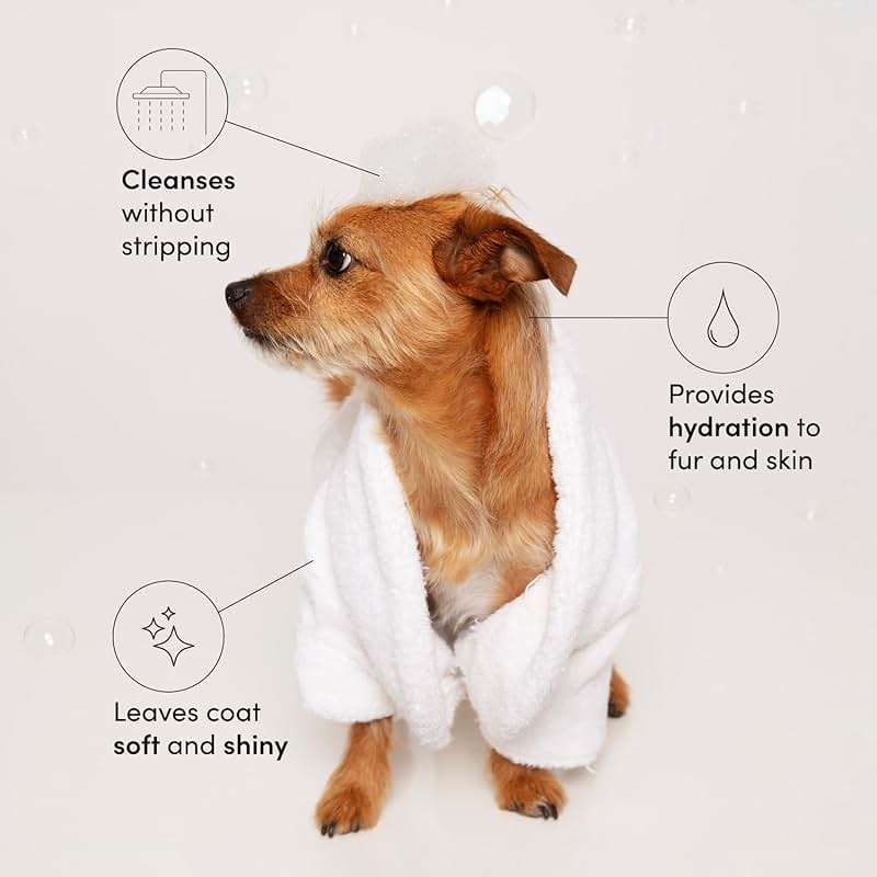 OUAI Fur Bébé Pet Shampoo - Cat & Dog Shampoo for Gentle Cleansing, Hydration & Shine - Vegan & Cruelty-Free Pet Supplies with Aloe Vera & Panthenol - Mercer Street Scent (16 Fl oz) - Image 2