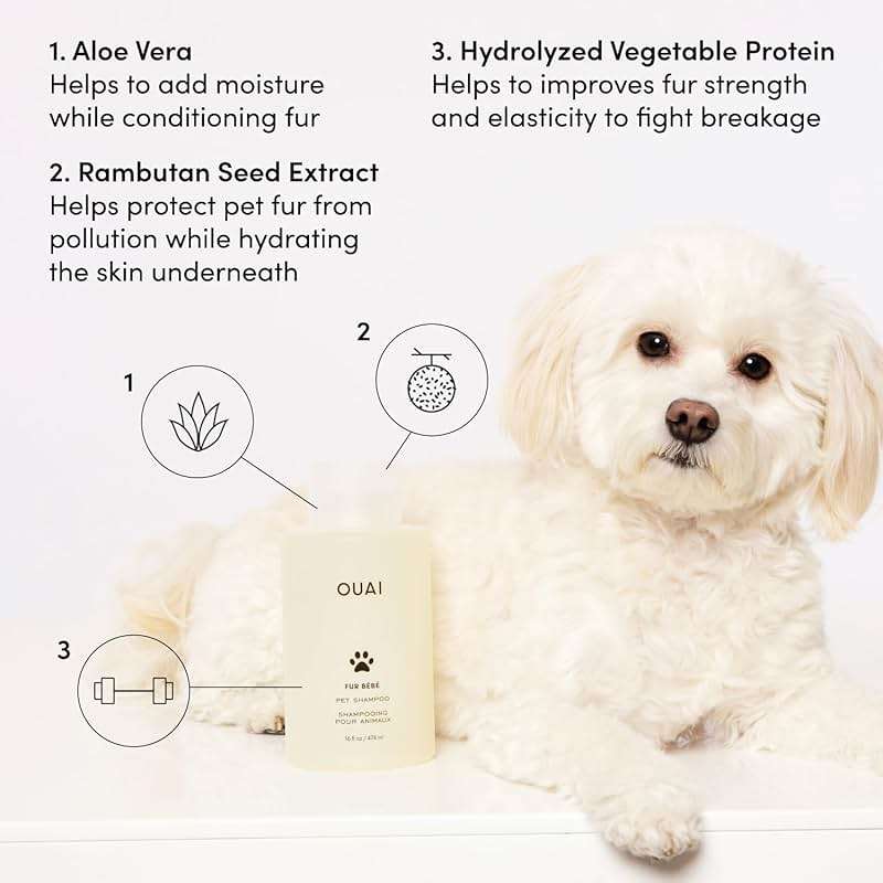 OUAI Fur Bébé Pet Shampoo - Cat & Dog Shampoo for Gentle Cleansing, Hydration & Shine - Vegan & Cruelty-Free Pet Supplies with Aloe Vera & Panthenol - Mercer Street Scent (16 Fl oz) - Image 3