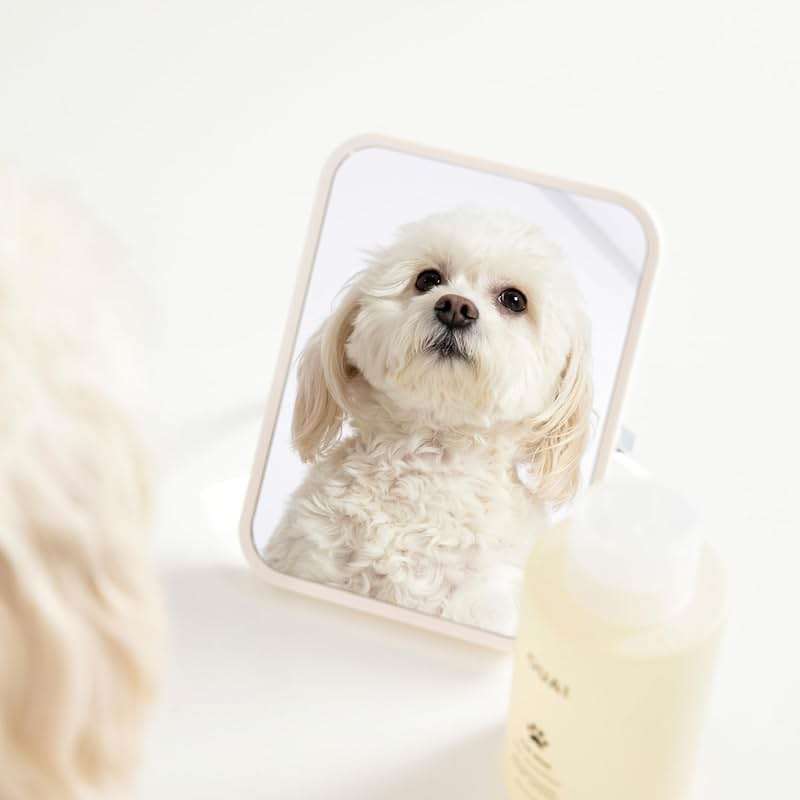 OUAI Fur Bébé Pet Shampoo - Cat & Dog Shampoo for Gentle Cleansing, Hydration & Shine - Vegan & Cruelty-Free Pet Supplies with Aloe Vera & Panthenol - Mercer Street Scent (16 Fl oz) - Image 6