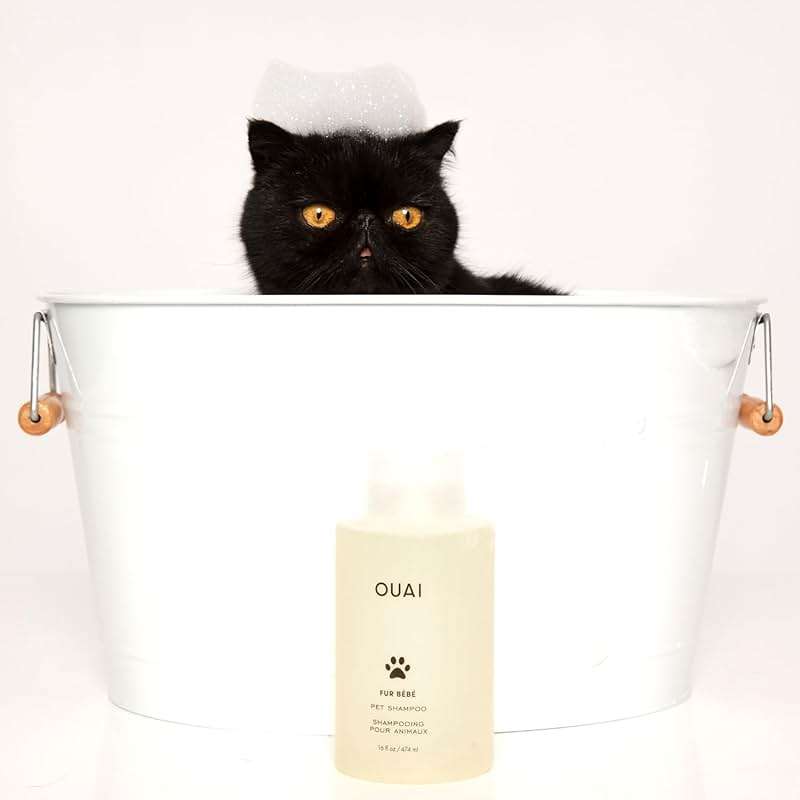OUAI Fur Bébé Pet Shampoo - Cat & Dog Shampoo for Gentle Cleansing, Hydration & Shine - Vegan & Cruelty-Free Pet Supplies with Aloe Vera & Panthenol - Mercer Street Scent (16 Fl oz) - Image 7