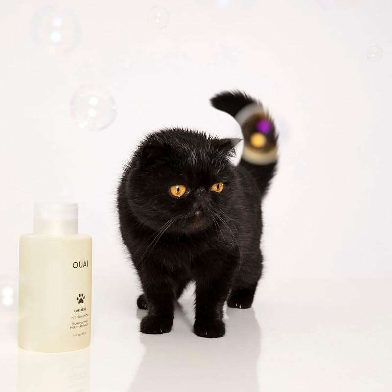 OUAI Fur Bébé Pet Shampoo - Cat & Dog Shampoo for Gentle Cleansing, Hydration & Shine - Vegan & Cruelty-Free Pet Supplies with Aloe Vera & Panthenol - Mercer Street Scent (16 Fl oz) - Image 8