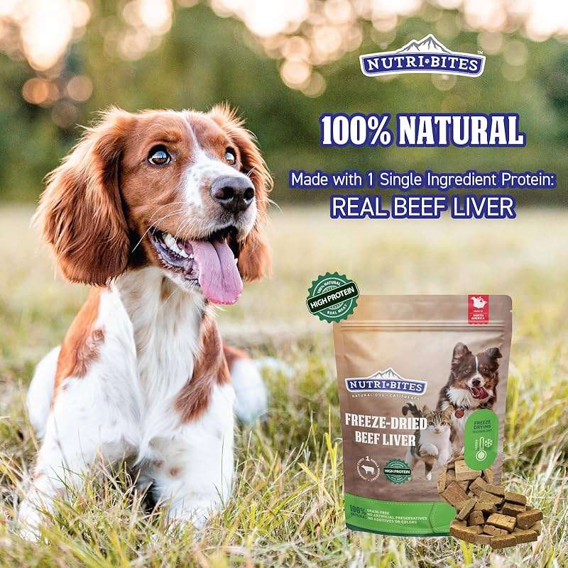 Nutri Bites Freeze Dried Beef Liver Dog & Cat Treats, Single Ingredient High Protein Pet Treats, 17.6 oz - Image 2