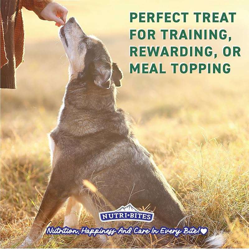 Nutri Bites Freeze Dried Beef Liver Dog & Cat Treats, Single Ingredient High Protein Pet Treats, 17.6 oz - Image 4