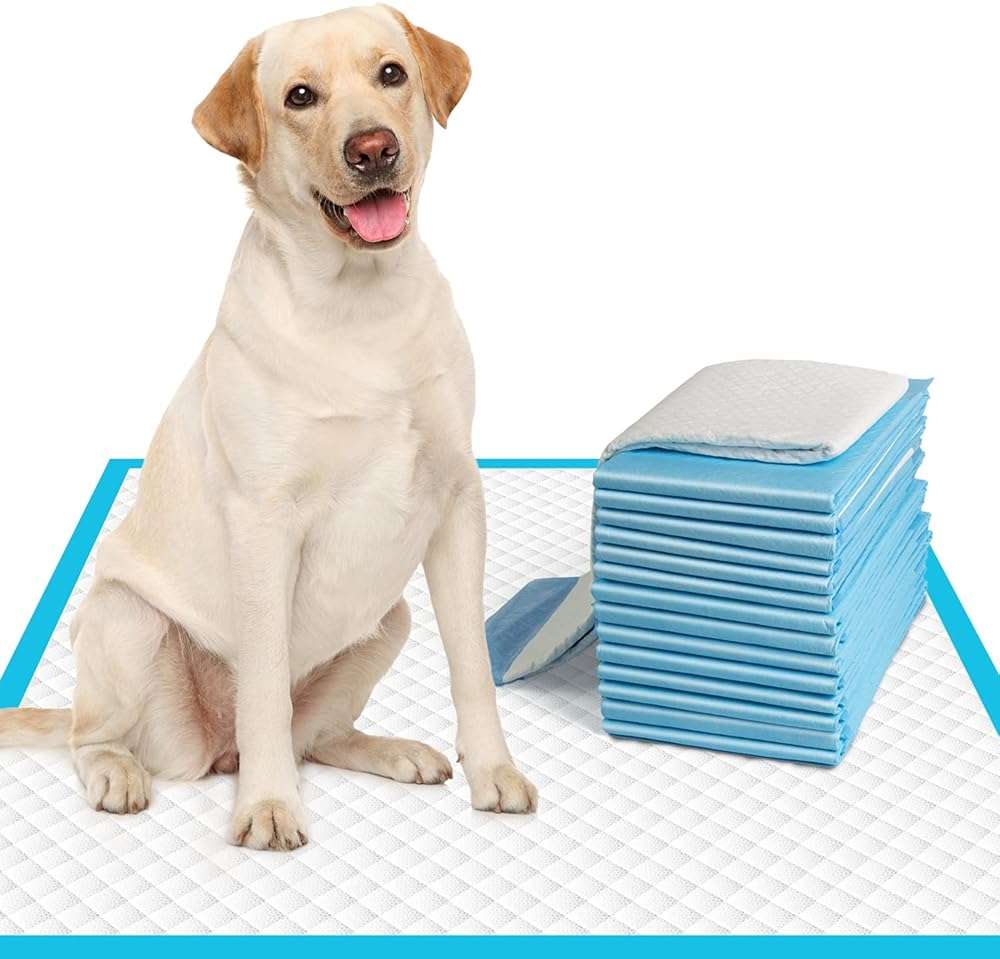 IMMCUTE Large Dog Pee Pads 28"x30"-50 Count | Large Puppy Pee Training Pads Super Absorbent & Leak-Proof | Disposable Pet Piddle and Potty Pads for Puppies | Dogs | Doggie - Image 1
