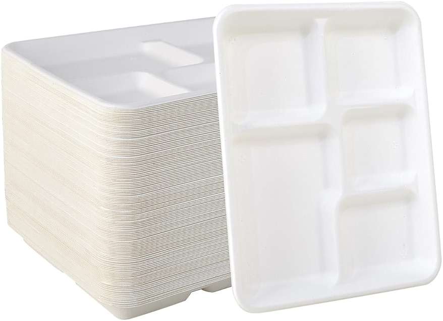 Vplus 100% Compostable Small 5 Compartment Plates 125 Pack 10.25 x 8.25 inch Disposable Sugarcane Bagasse Tray Perfect for Boys and Girls - Image 1
