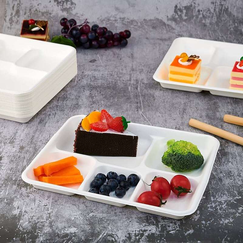 Vplus 100% Compostable Small 5 Compartment Plates 125 Pack 10.25 x 8.25 inch Disposable Sugarcane Bagasse Tray Perfect for Boys and Girls - Image 6