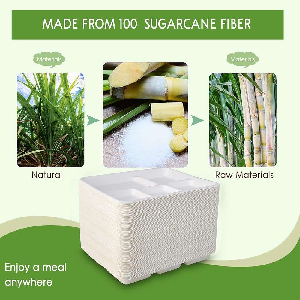 Vplus 100% Compostable Small 5 Compartment Plates 125 Pack 10.25 x 8.25 inch Disposable Sugarcane Bagasse Tray Perfect for Boys and Girls - Image 7