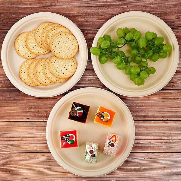 Vplus 150 Pack Compostable Disposable Paper Plates 10 inch Super Strong 100% Bagasse Natural Biodegradable Eco-Friendly Sugarcane Plates(nature) - Image 6