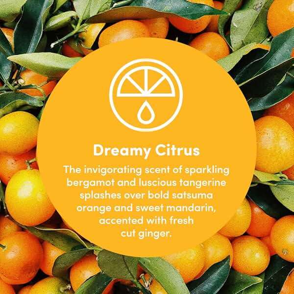 Clean Revolution Multi Surface Cleaner Refill Supply, Non-Toxic, Eco-Friendly & Plant-Based, Ready to Use, Dreamy Citrus, 128 Fl Oz (1 Gallon) - Image 3