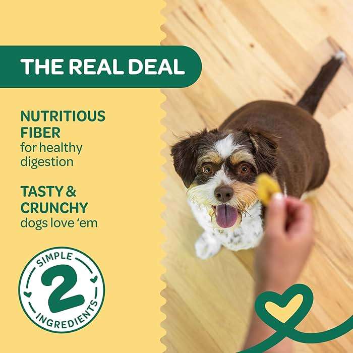 Wholesome Pride Banana Bites Dog Treats – 2-Ingredient Banana Chips for Dogs, Grain-Free, Banana & Coconut Oil, 16 oz - Image 2