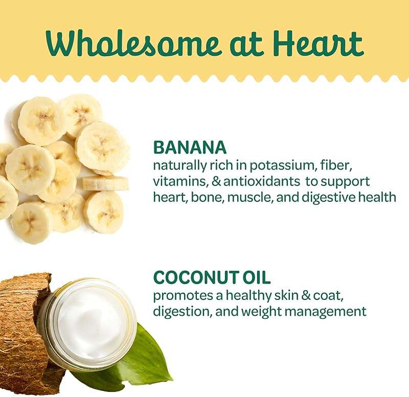 Wholesome Pride Banana Bites Dog Treats – 2-Ingredient Banana Chips for Dogs, Grain-Free, Banana & Coconut Oil, 16 oz - Image 3