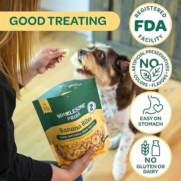 Wholesome Pride Banana Bites Dog Treats – 2-Ingredient Banana Chips for Dogs, Grain-Free, Banana & Coconut Oil, 16 oz - Image 4