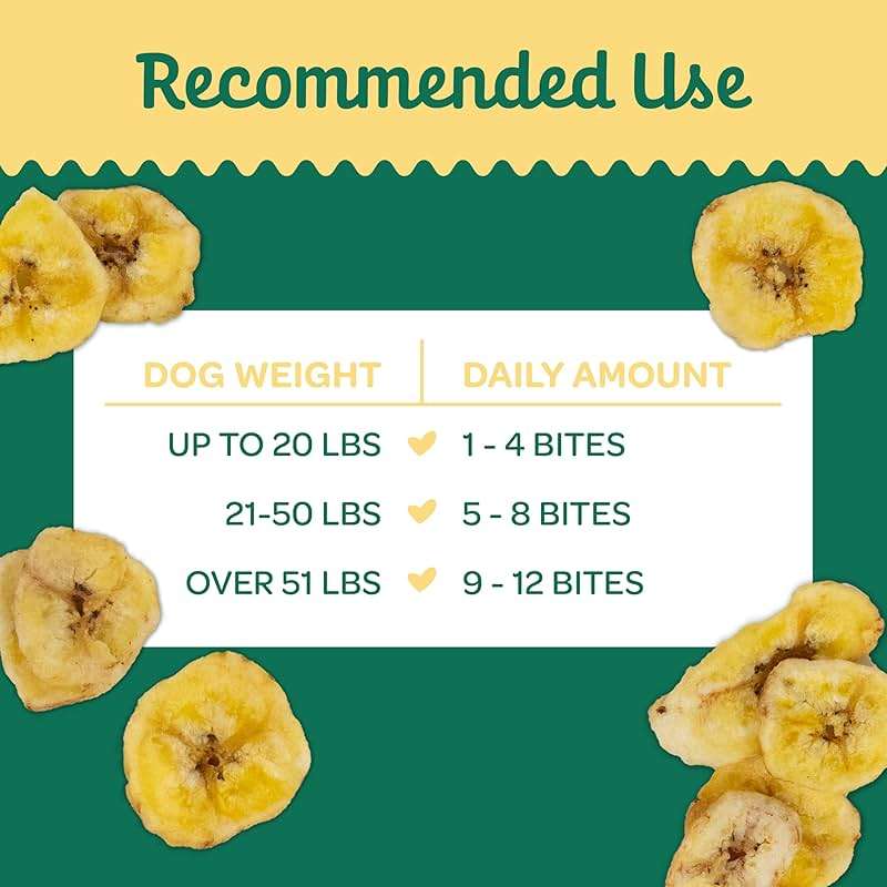 Wholesome Pride Banana Bites Dog Treats – 2-Ingredient Banana Chips for Dogs, Grain-Free, Banana & Coconut Oil, 16 oz - Image 5