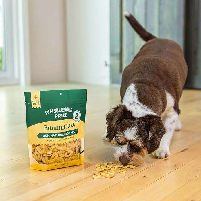 Wholesome Pride Banana Bites Dog Treats – 2-Ingredient Banana Chips for Dogs, Grain-Free, Banana & Coconut Oil, 16 oz - Image 6