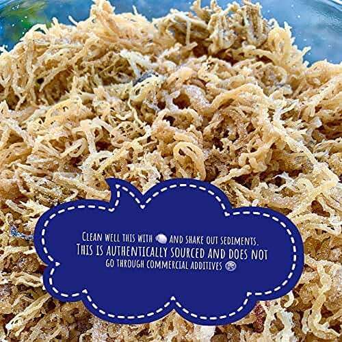Sea Moss | Irish Sea Moss | Wildcrafted - 100% Natural, Makes 120+ oz of Seamoss Gel | Dr. Sebi - 8oz for Health & Wellness - Image 4