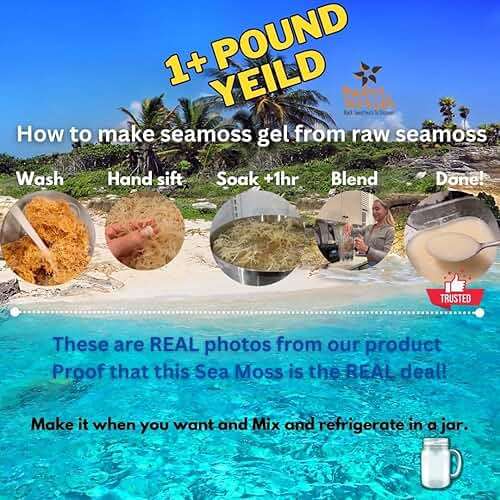 Sea Moss | Irish Sea Moss | Wildcrafted - 100% Natural, Makes 120+ oz of Seamoss Gel | Dr. Sebi - 8oz for Health & Wellness - Image 7
