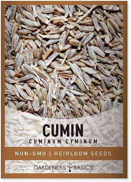 Gardeners Basics, Cumin Seeds for Planting is A Heirloom, Non-GMO Herb Variety- Cuminum Cyminum Herb Seeds Great for Indoor and Outdoor Gardening - Image 1