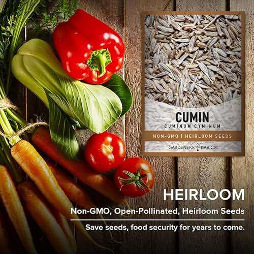 Gardeners Basics, Cumin Seeds for Planting is A Heirloom, Non-GMO Herb Variety- Cuminum Cyminum Herb Seeds Great for Indoor and Outdoor Gardening - Image 6