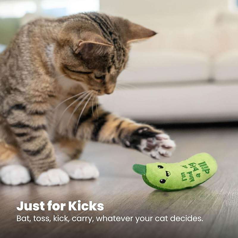 Catstages Crunchy Pickle Kicker Cat Toy – Plush Crinkle Toy with Catnip and Dental Mesh, 6.5" - Image 7