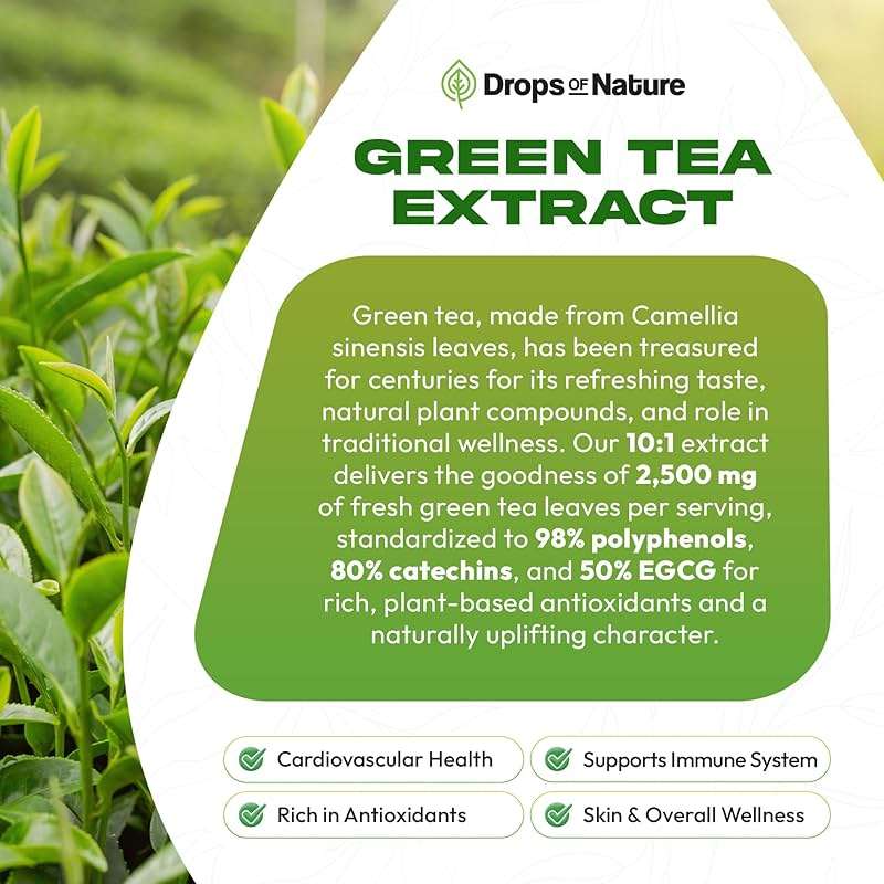 Green Tea 10:1 Extract 50% EGCG - Green Tea Liquid Drops - Vegan, 4X More Powerful Than Pills & Capsules - 2oz Antioxidant & Immune Supplement - Skin, Heart Support, Brain Health & Memory Boost - Image 5