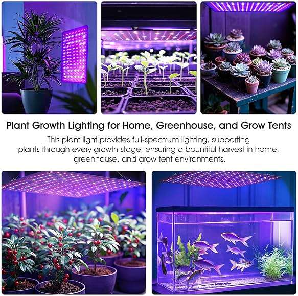 Uallhome 2 Pack LED Grow Light Panel 200W Lamp for Indoor Plants, Full Spectrum with White Blue Red UV IR LEDs for 4x4ft Coverage Grow Tent Greenhouse Veg and Bloom Seedlings Hydroponics - Image 8