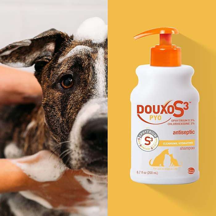 Douxo S3 PYO Medicated Dog Shampoo with 3% Chlorhexidine for Dogs – Antibacterial & Antiseptic Yeast Infection Treatment For Dogs & Cats, Clinically Proven, 6.7 fl oz - Image 4