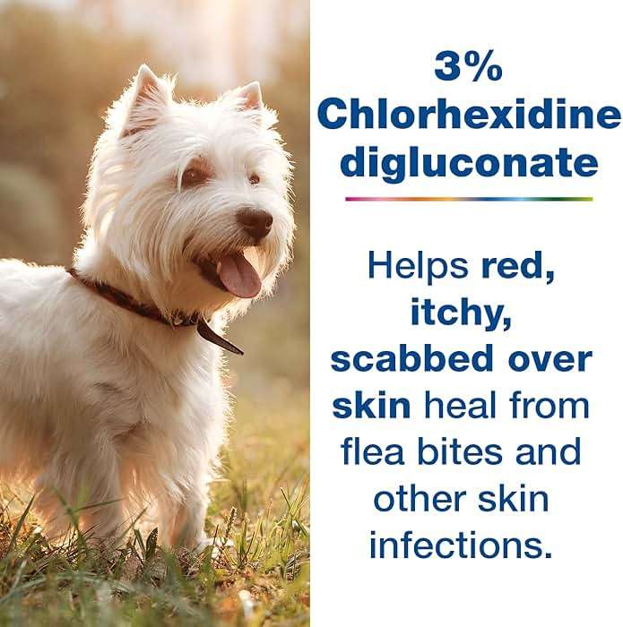 Douxo S3 PYO Medicated Dog Mousse; Bacterial & Yeast Infection Treatment for Dogs – Chlorhexidine Dog Waterless Shampoo, Antibacterial & Antiseptic, for Dogs Only, Clinically Proven, 5 fl oz - Image 6