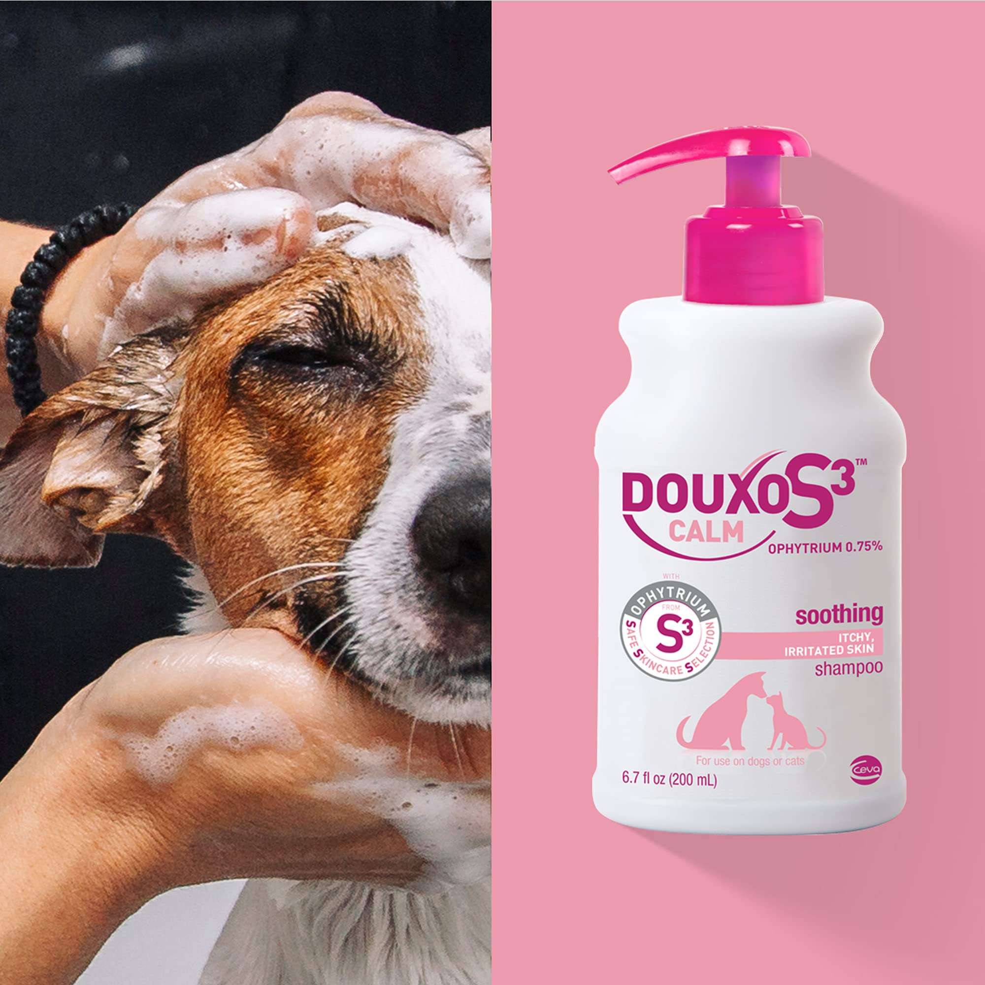 Douxo S3 Calm Dog Shampoo for Itchy Skin Relief, Dog Shampoo for Allergies and Itching, Soothes Itchy, Irritated or Allergic Skin For Dogs and Cats, 6.7 fl oz - Image 7