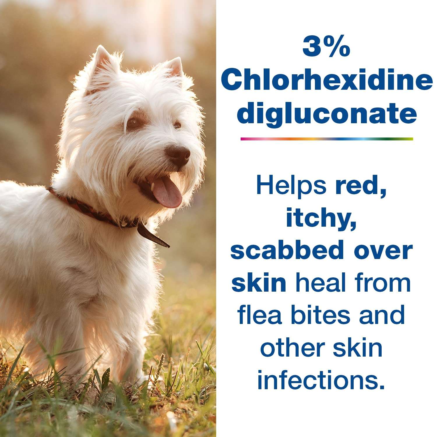 Douxo S3 PYO Pads, 3% Chlorhexidine Wipes for Dogs and Cats, Antiseptic Dog Wipes For Bacterial or Yeast Skin Infections, 0.5% Ophytrium Clinically Proven, 30 Pads - Image 5