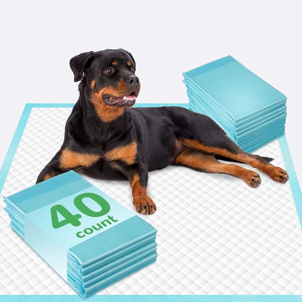 DEEP DEAR Extra Large Dog Pads 30"x26" (40 Count), Thicker Pet Training and Puppy Pads, Super Absorbent Pee Pads for Dogs, Leakproof Dog Potty Training Pads for Puppies, Cats, Rabbits, Pet Pee Pads XL - Image 9