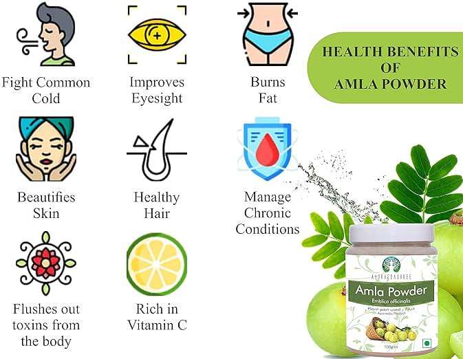 AYURVEDASHREE Amla Fruit Powder (Amalaki) 100 Gm | Powder Form, Rich in Antioxidant Vitamin C, Vegan, 100% Raw from India, Non GMO - Image 9