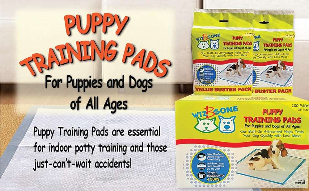 Scoochie Pets Large Dog Training Pads - 100 Pack Puppy Pads, 22 x 22 Absorbent Sheets for Adult & Young Pets - Convenient Box of Leak-Proof Pee Pads for Dogs, Ideal for Home & Travel - Image 4